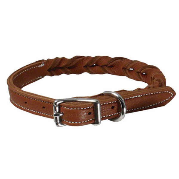 Dog Collar & Leashes